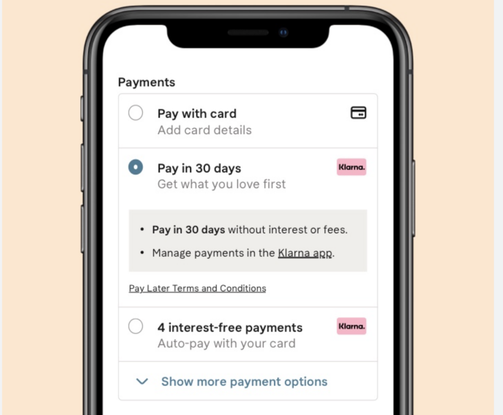 payment options of Klarna