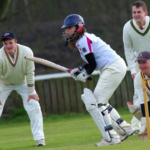 Cricket Team Names