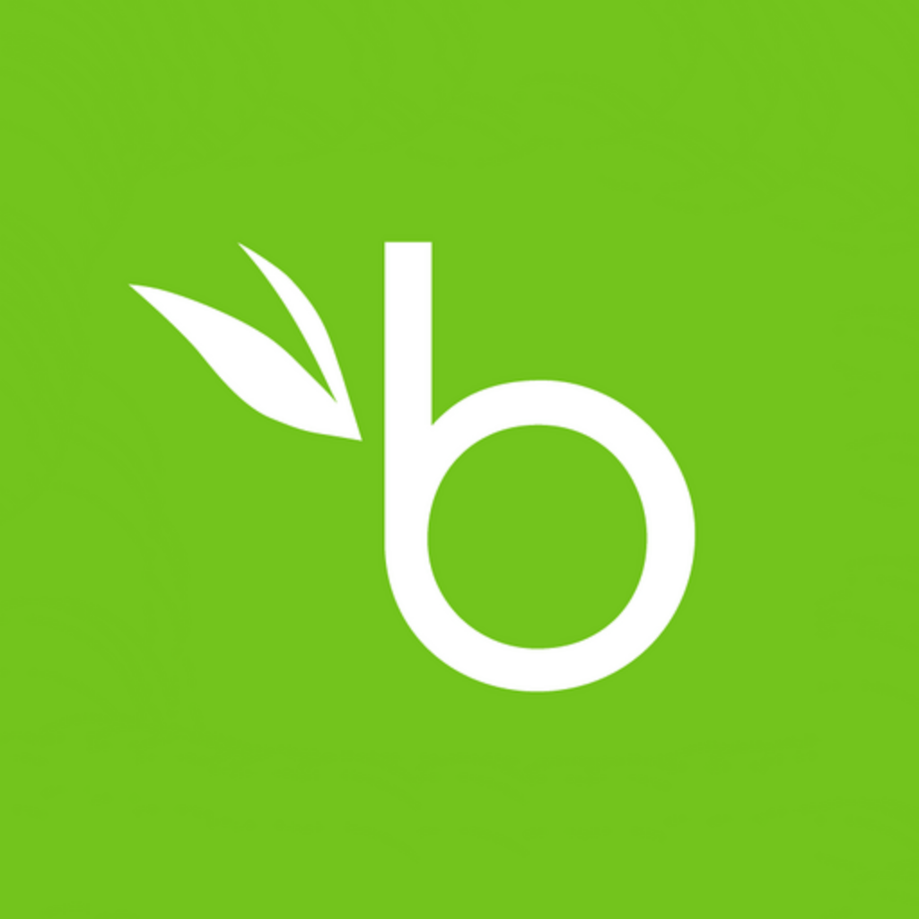 BambooHR logo