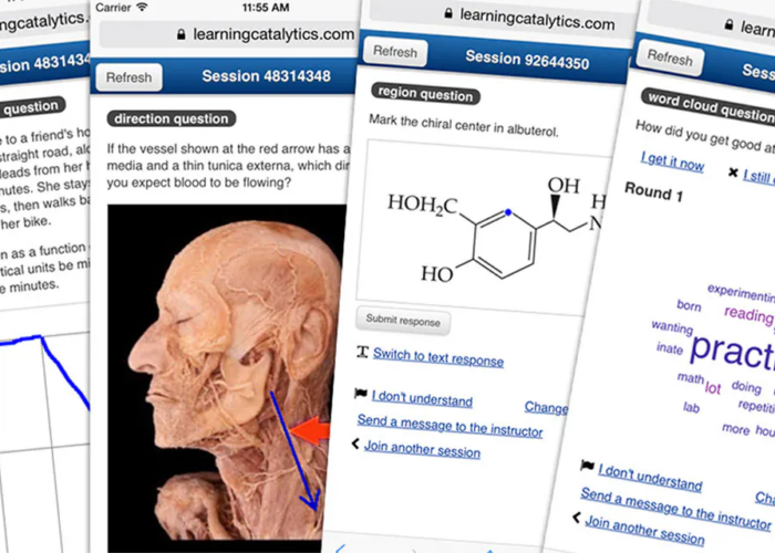 Pearson Learning Catalytics