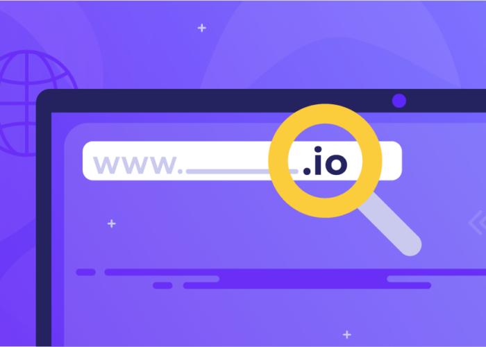 .io domain