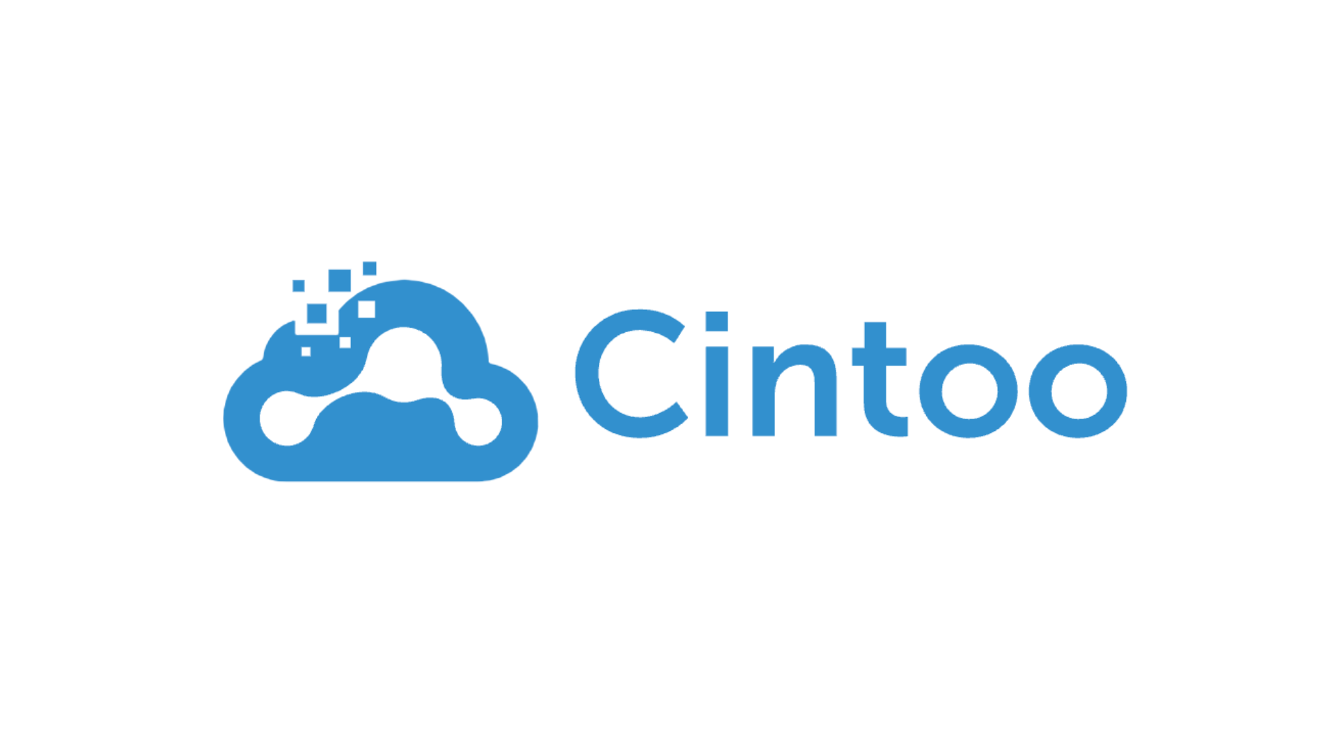 Cintoo logo